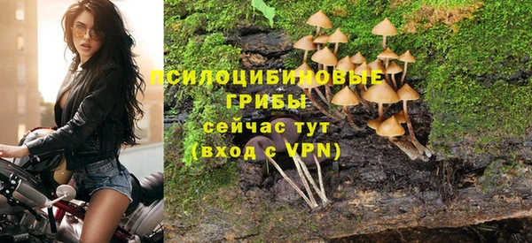 COCAINE Ладушкин