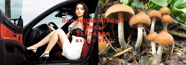 винт Лабытнанги
