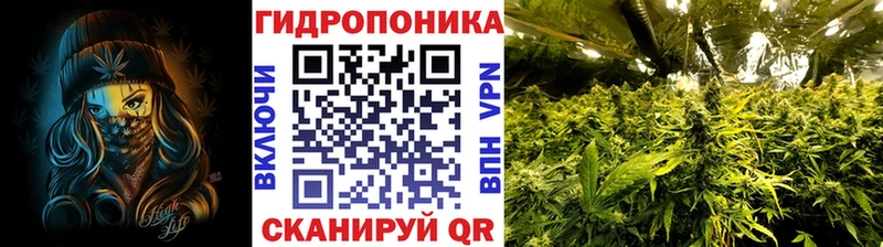 Шишки марихуана конопля  Купить  Артёмовск 